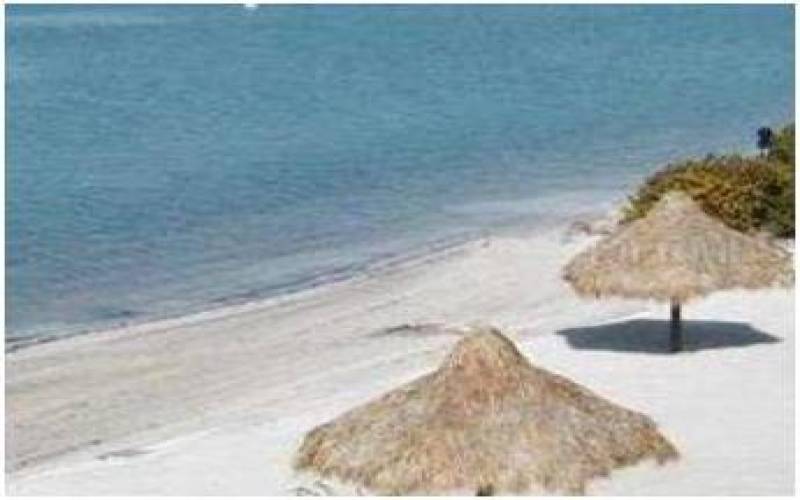 thMLS1_800x500